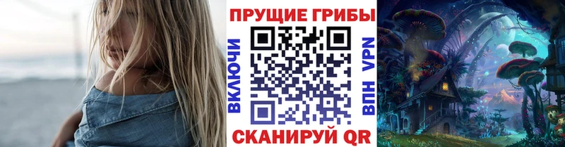 наркошоп Нея Галлюциногенные грибы Cubensis